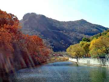 正版澳门天天开彩大全，南山装饰公司